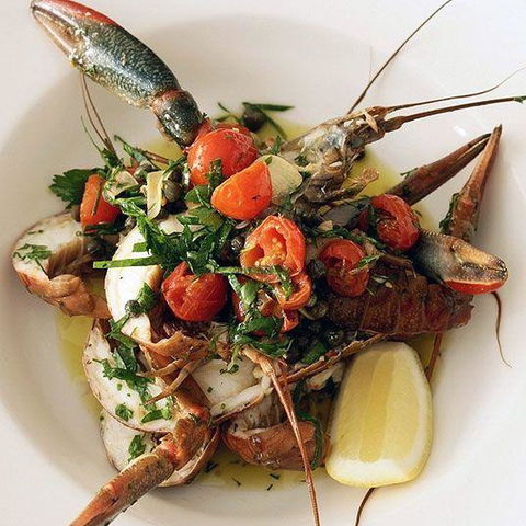 Superdish - Accommodation Perth 7