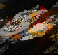 Lion Dance - Accommodation Perth