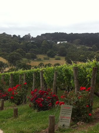 Paringa Estate - Accommodation Perth 0