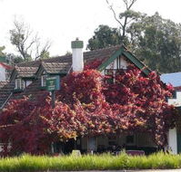Fetching Treasures - Perth Resorts
