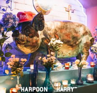 Hotel Harry - Accommodation Perth
