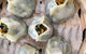 Fang Dumpling House - thumb 0
