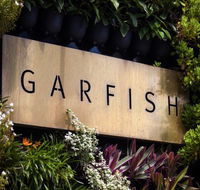 Garfish - Accommodation Perth