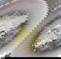 Hampden Deli Dining and School