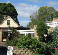Tipsy Fig - Accommodation Perth