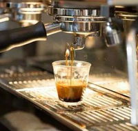 Black Bear Cafe - Accommodation Perth