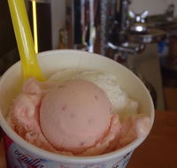 Bermagui Gelati Clinic - Accommodation Perth