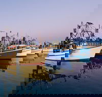 Clarence River Fishermen's Co-Operative - Perth Resorts