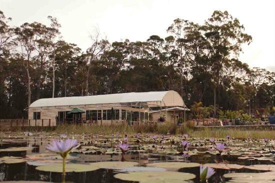 Sancrox NSW Accommodation Perth