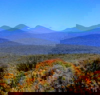 Arcadia Wines - Perth Resorts