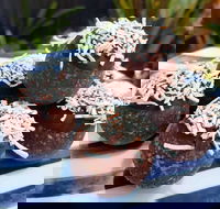 Watkins Bay Coffee Trading Company - Accommodation Perth