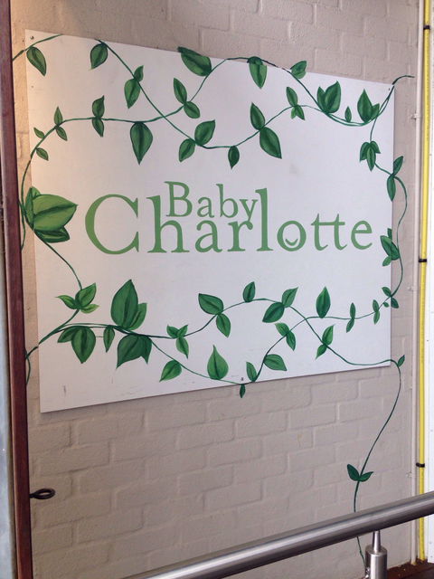 Charlotte - Accommodation Perth 0