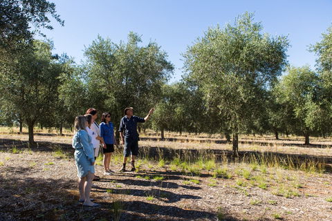 Wollundry Grove Olives - Accommodation Perth 1