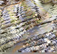 Il Pasticcino - Perth Resorts