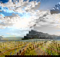 Fallen Giants Vineyard - Perth Resorts
