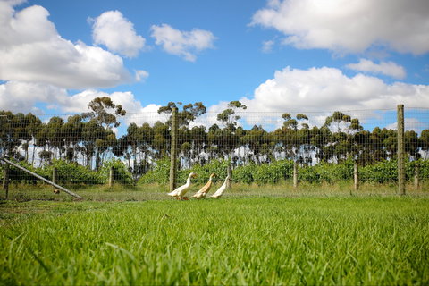 Pierrepoint Wines Cellar Door - Accommodation Perth 1