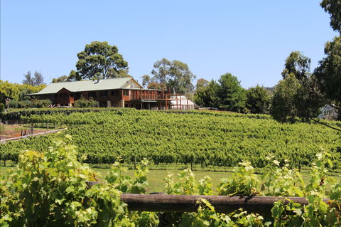 Djinta Djinta Winery - Accommodation Perth 0