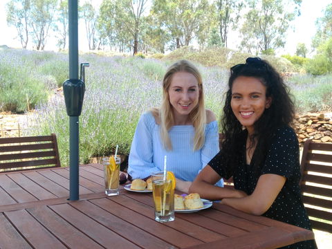 Lyndoch Lavender Farm Cafe - Accommodation Perth 1
