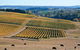 Slow Wine Co - thumb 1