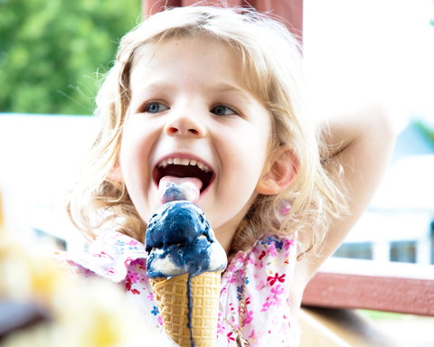 Kangaroo Valley Fudge House And Ice Creamery - Perth Resorts 2