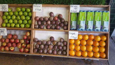 Melonhead - Accommodation Perth 0