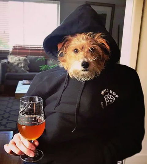Wild Hop Brewing Company - Accommodation Perth 1