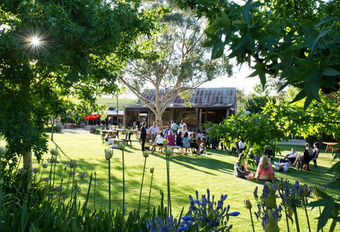Barristers Block Premium Wines - Accommodation Perth 0