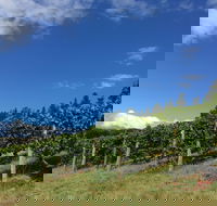 Freycinet Vineyard - Accommodation Perth