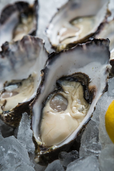 Lobster Shack Tasmania - Accommodation Perth 1