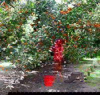 Fords Farm - Perth Resorts