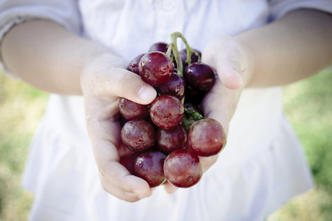 Granitevale Winery - Accommodation Perth 0