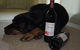 Dog Trap Vineyard - thumb 0