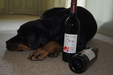Dog Trap Vineyard - Accommodation Perth 0