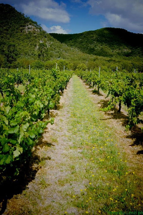 Gartelmann Wines - Accommodation Perth 0