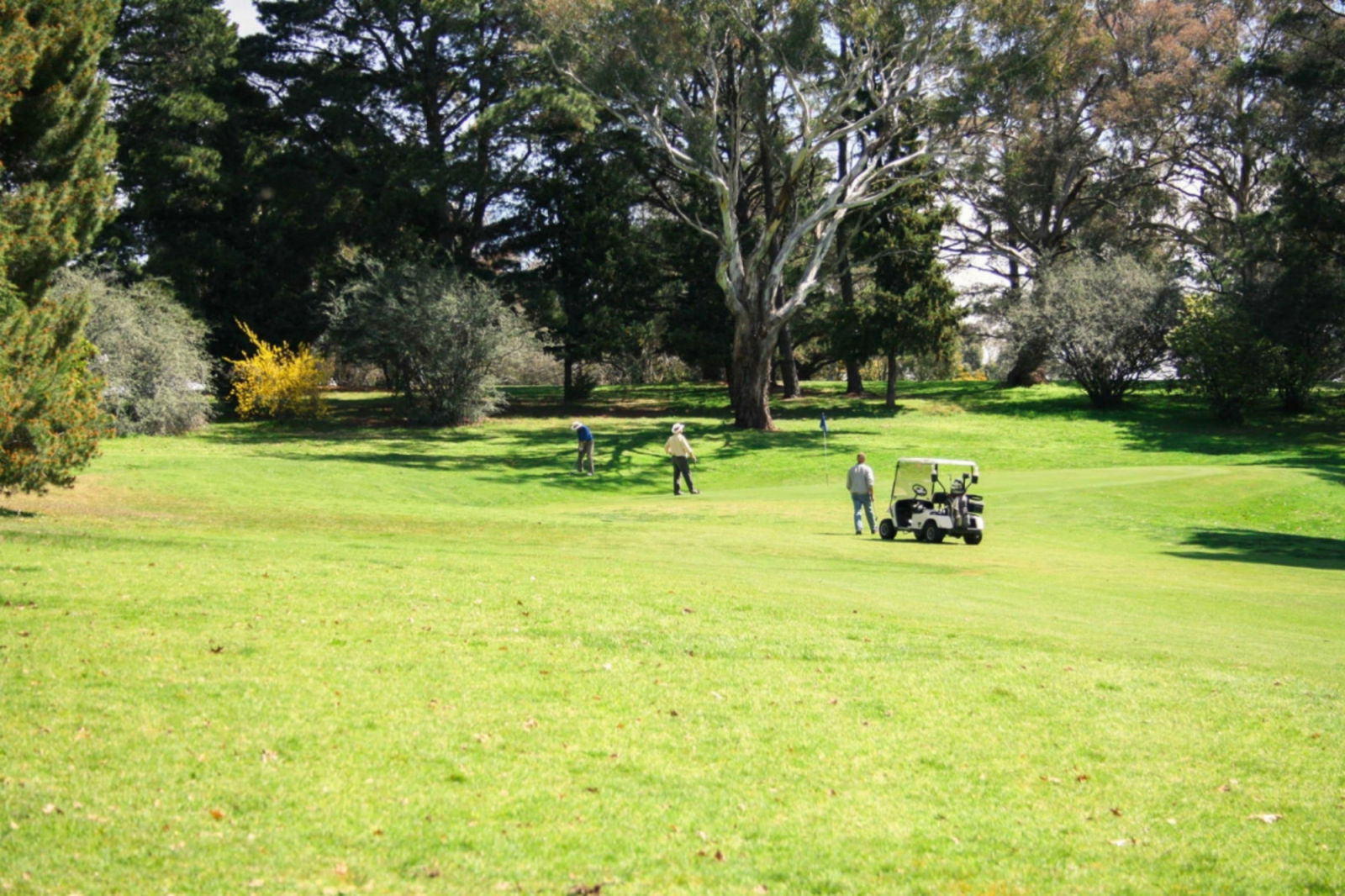 Bango NSW Accommodation Perth