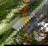 Velvet  Willow - Perth Resorts