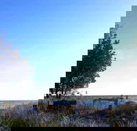 The Seafood Grill - Accommodation Perth