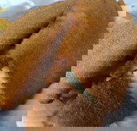 Fish Depot - Redland Bay - Perth Resorts