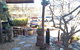 The Terrace Thai - thumb 0