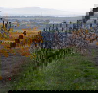 Barwon Ridge Wines - Accommodation Perth