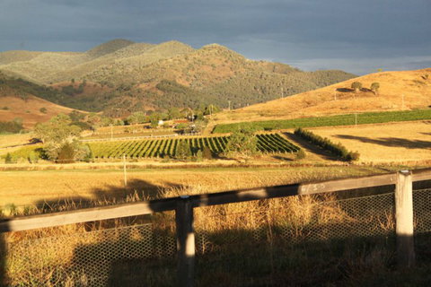 Optimiste Wines - Accommodation Perth 0