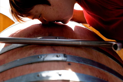 Yarrh Wines - Accommodation Perth 2