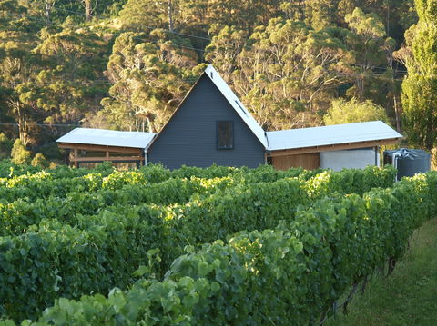 Two Bud Spur Vineyard - Perth Resorts 0