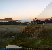 Mountainside Wines - Accommodation Perth