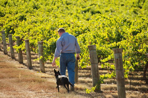 Eden Hall Wines - Accommodation Perth 1