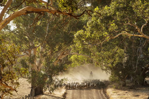 Eden Hall Wines - Accommodation Perth 2
