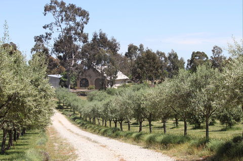 L'Oliveraie Olive Grove - Accommodation Perth 0