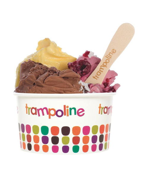 Trampoline Gelato - Doncaster - Accommodation Perth 0