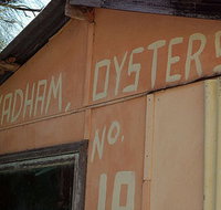 Les Wadham Oysters - Broken Bay Pacific Oysters - Accommodation Perth