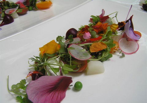 Bluebush Cafe - Accommodation Perth 13